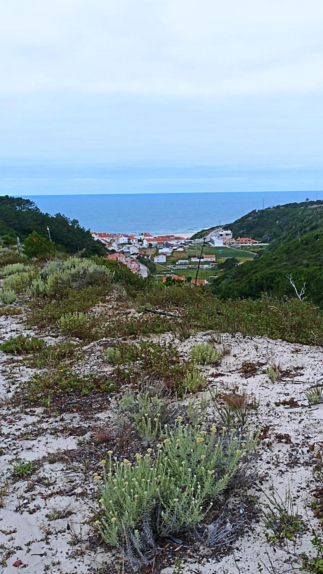 Tinyhouse Tilda - Near Famous Beaches Pataias Kültér fotó