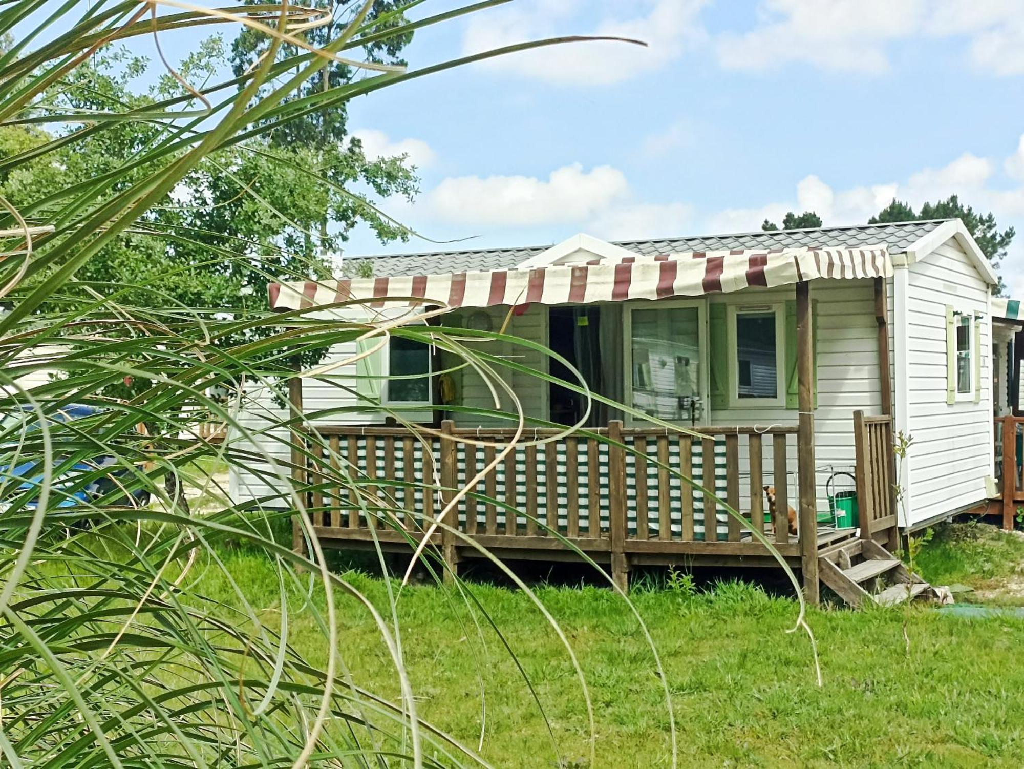 Tinyhouse Tilda - Near Famous Beaches Pataias Kültér fotó