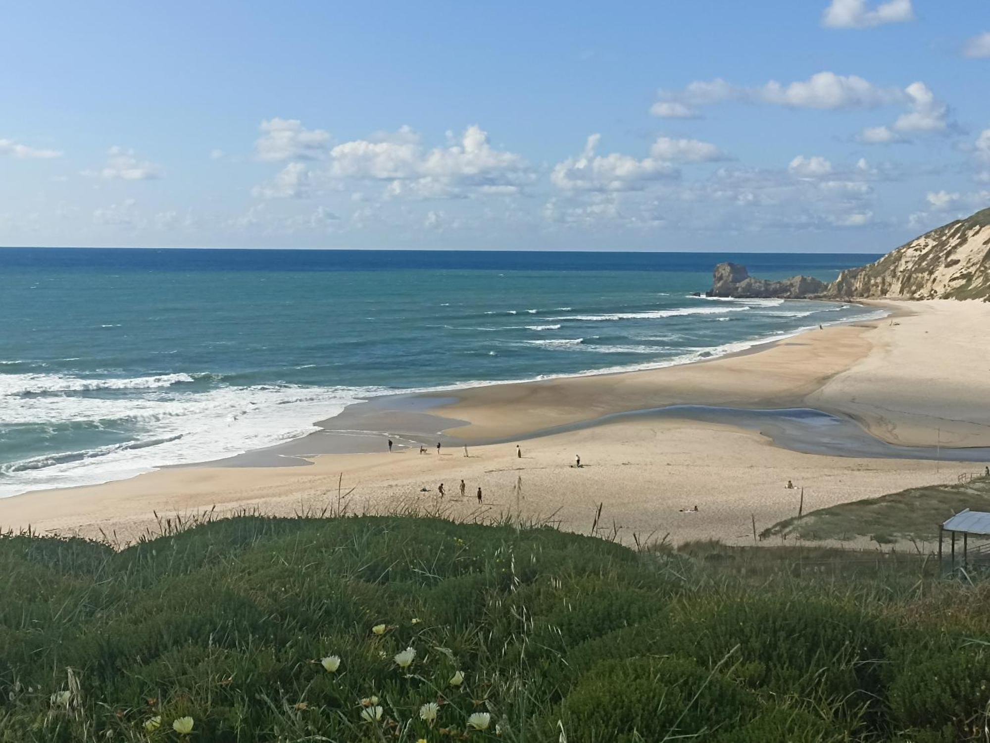 Tinyhouse Tilda - Near Famous Beaches Pataias Kültér fotó