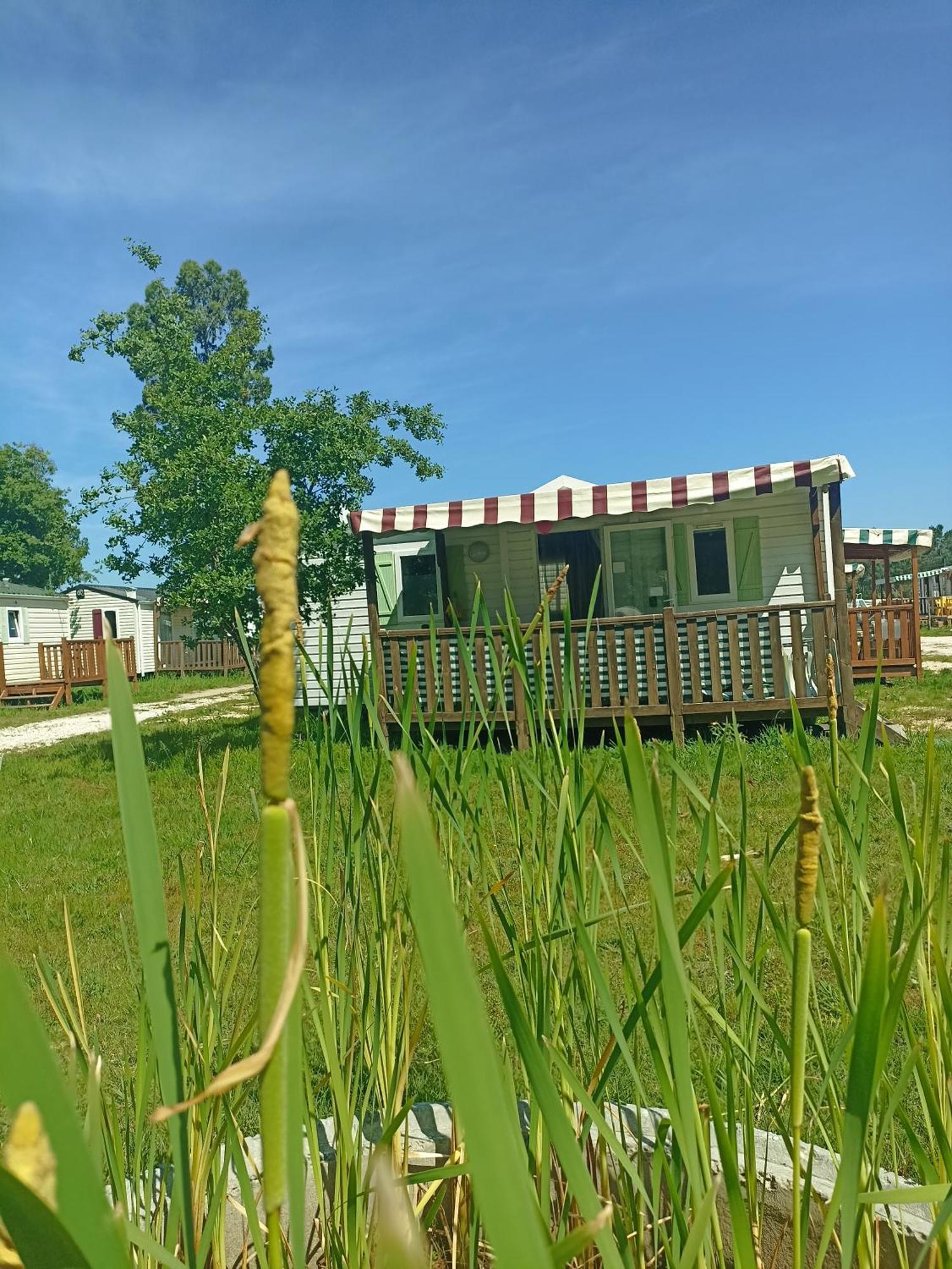 Tinyhouse Tilda - Near Famous Beaches Pataias Kültér fotó